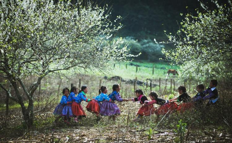 Mai Châu – Mộc Châu: Cung Đường Phượt Thú Vị Nhất Tây Bắc